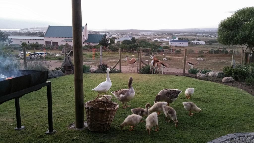 The Stables Accommodation Langebaan Zimmer foto